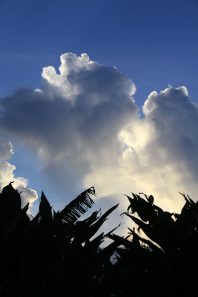 積乱雲