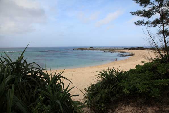 土盛海岸