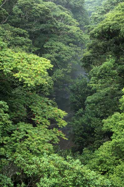 梅雨明けはまだ？