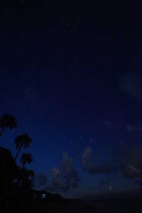 夜空の星