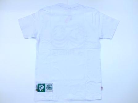 FINESTA半袖Tシャツ入荷!!