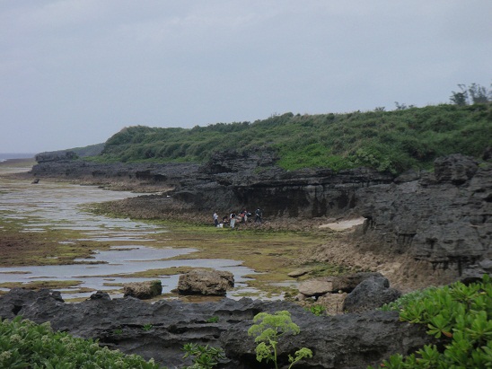 沖永良部島の風