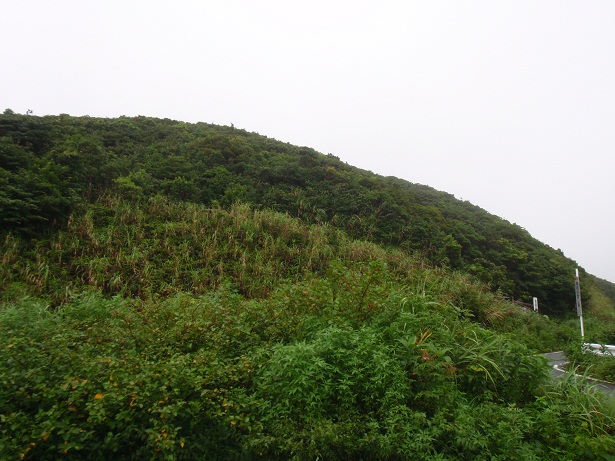 湯湾岳　鹿児島県希少野生動植物保護委員講習