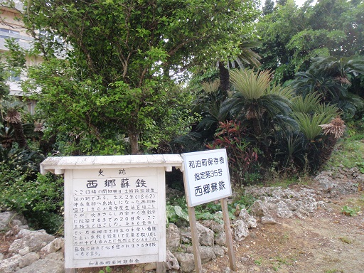 東北大学大学院　環境科学研究科　石田秀輝