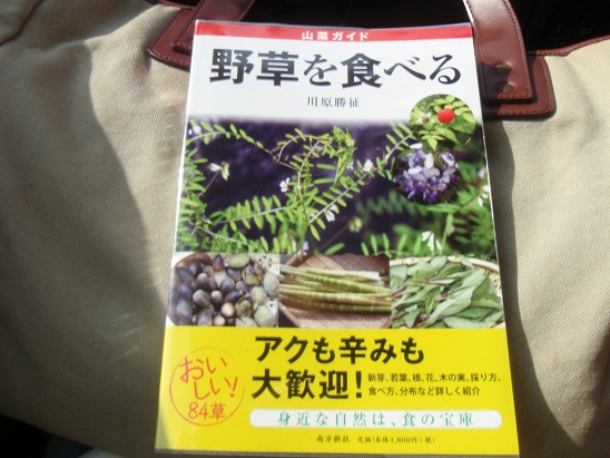 野草を食べる