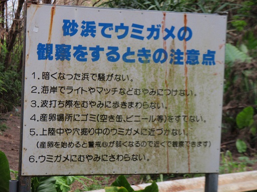 ウミガメ看板　　沖永良部島　　　あまみシマ博沖永良部島