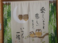 沖高修学旅行　お台場
