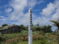 9月の渡り鳥情報