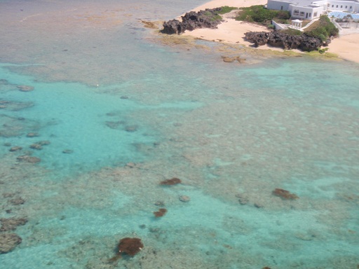 築地市場マグロ競り写真特集