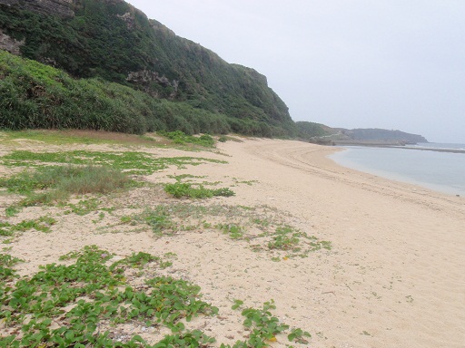 環境省　奄美・琉球諸島の世界自然遺産へ向けて準備