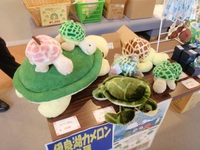 東京都エコツーリズムとガイド認定制度