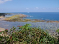 与和の浜の風景