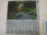 奄美きゅら島物語　第1章　森　朝日新聞