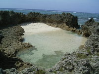 ハニク一帯の浜名が判明。