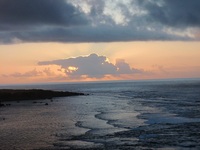 サンゴ礁の貝一覧　黄金伝説沖永良部島
