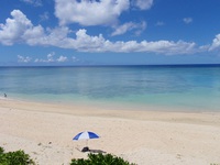 小米　　　沖永良部島