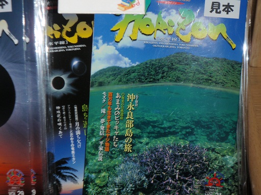 世界の飛ぶ宝石大集合