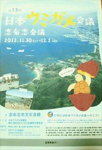 今年のウミガメ会議は志布志で開催　来年は奄美かな？