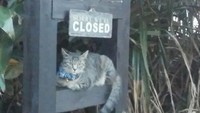 フッチュックワなたり