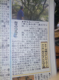 違ってた。