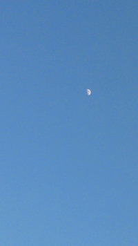 2010年10月29日