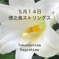 あれこれ試行錯誤