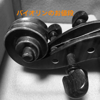 お値段いろいろ