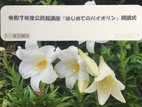 今年も始まりました！