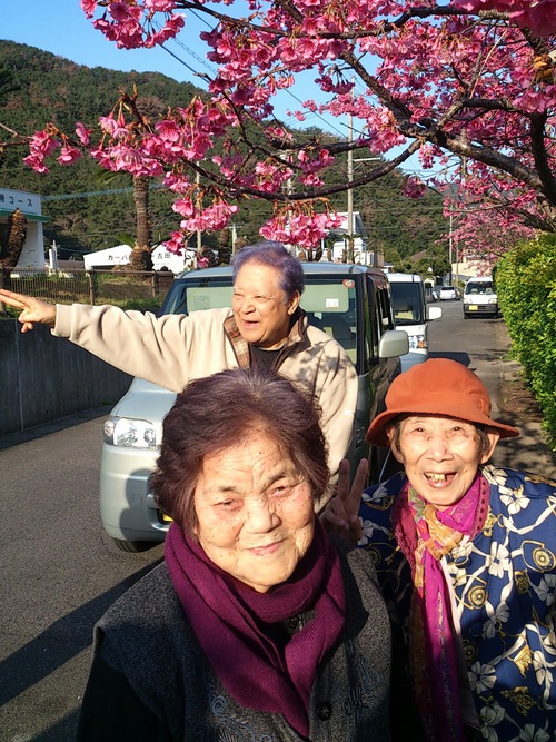 お花見いってきました！