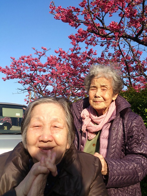 お花見いってきました！