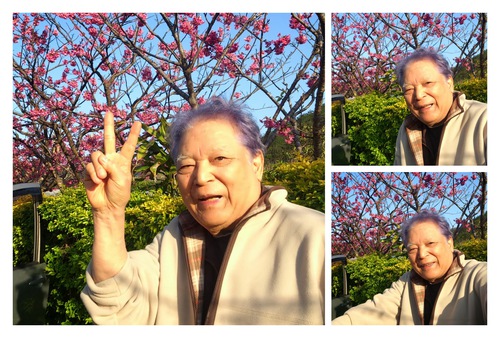 お花見いってきました！