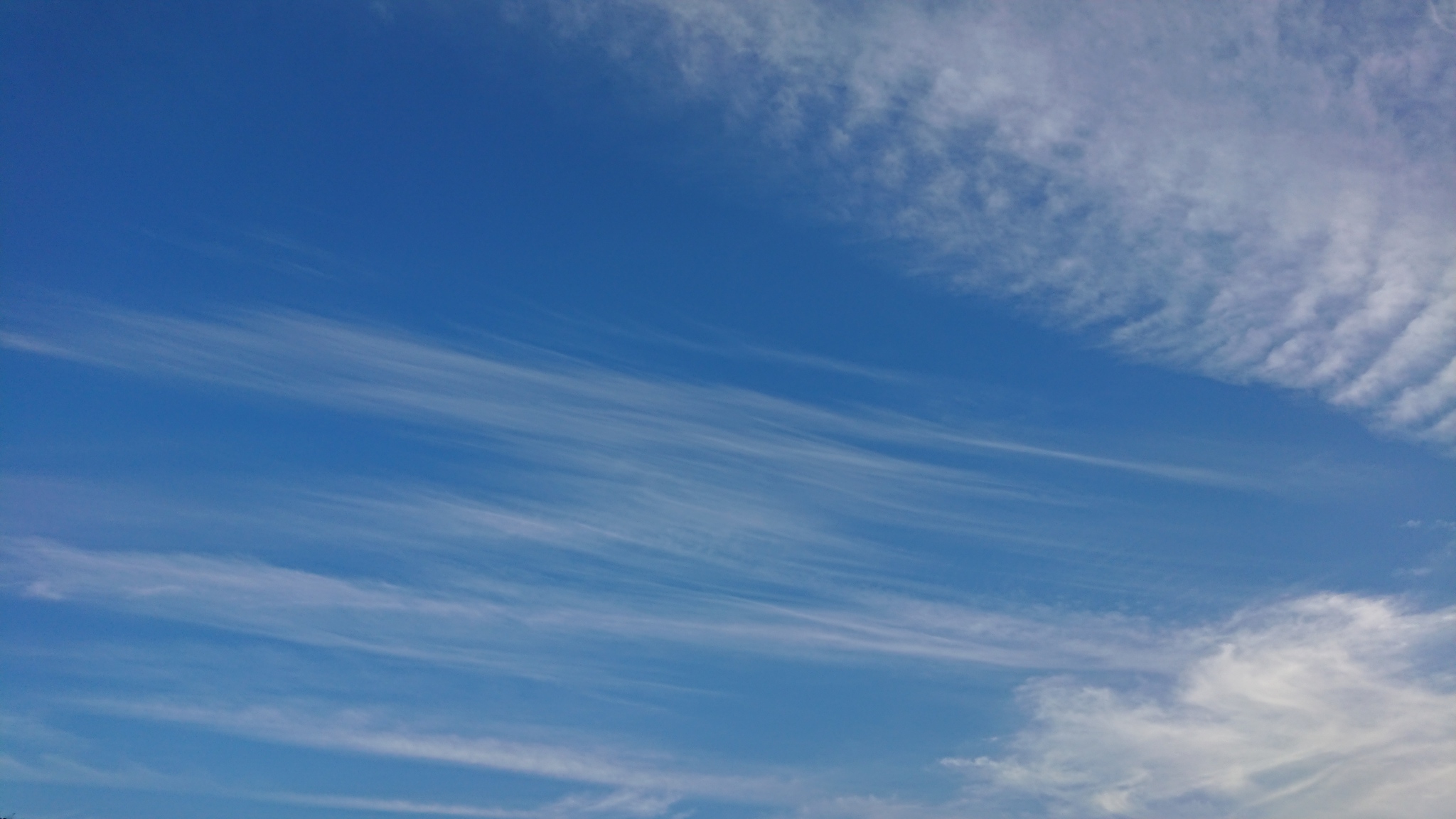 Bar クロス ｘ ポイント 雲は横に流れるのが普通 が 縦もアリみたい ノ