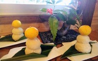 今年もよろしくお願いします!
