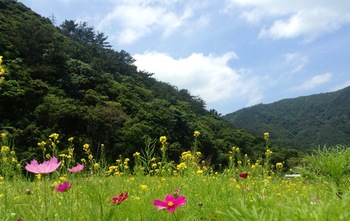 幸せ花畑♪♪