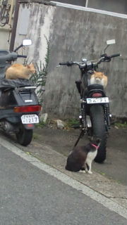 帰り道…