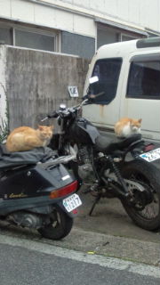 帰り道…