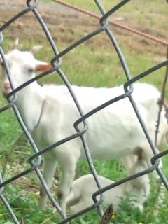住用お迎えツアー③