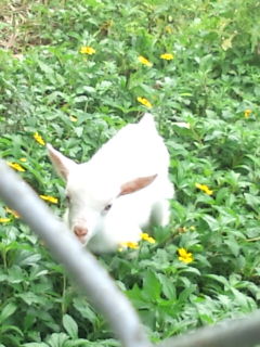 住用お迎えツアー③