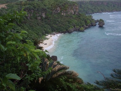 島唄　沖高エイサー